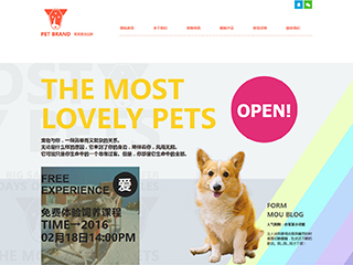 http://pets-114.view.sitestar.cn/