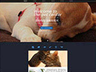 http://pets-127.view.sitestar.cn/