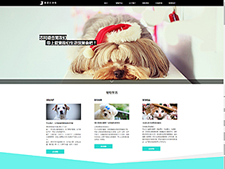 http://pets-60.view.sitestar.cn/
