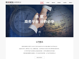 http://business-80.view.sitestar.cn/