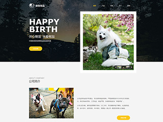 http://pets-228.view.sitestar.cn/